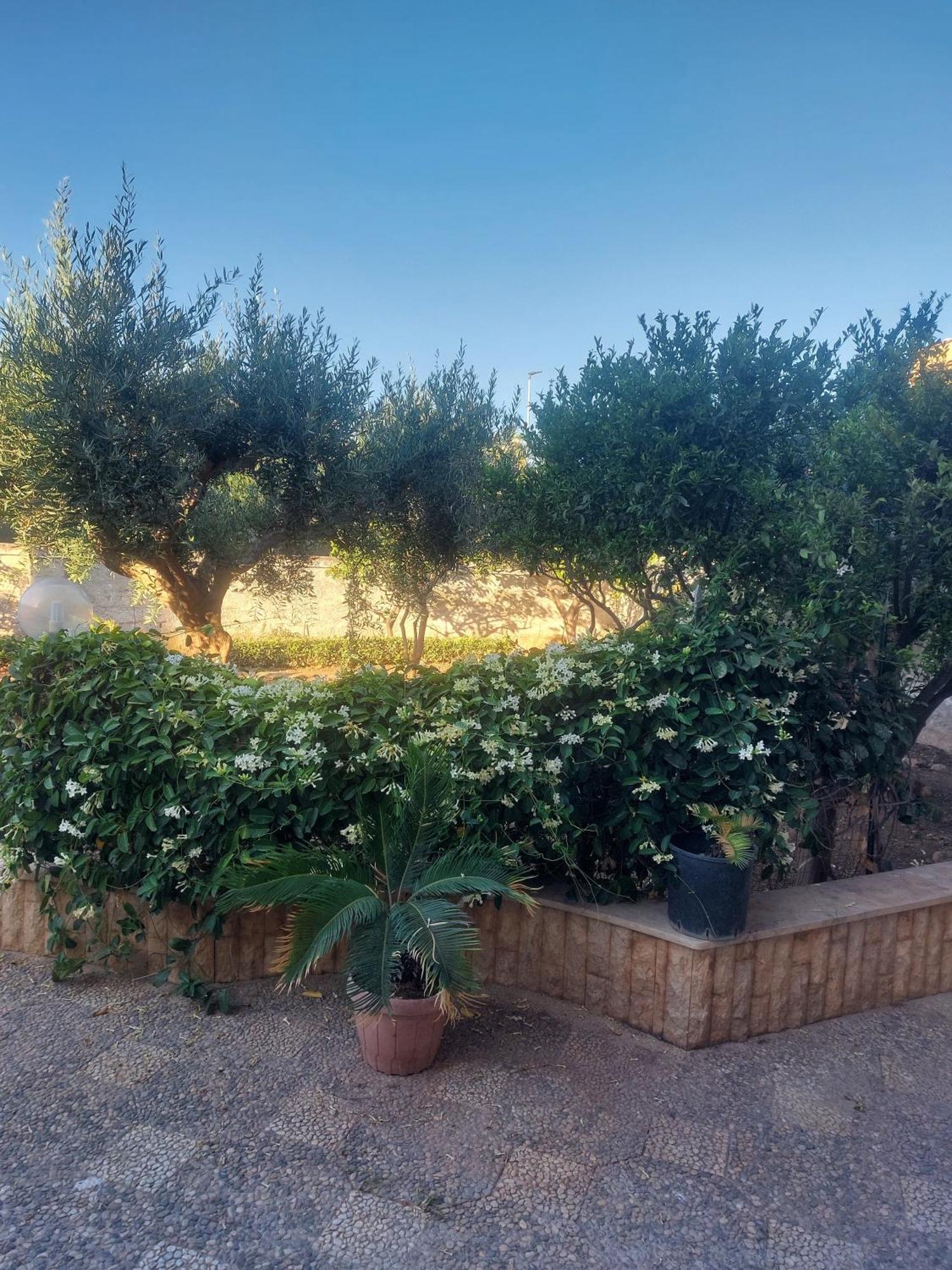 Alcantara Suites Trapani Exterior photo